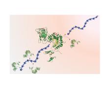 Biocatalysis and Biomanufacturing research graphic