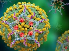 Detailed digital image of the Dengue virus