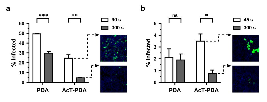 Diagram depicting Antiviral activity of AcT (10 μg∙mL−1)-PDA composite against different viruses. 