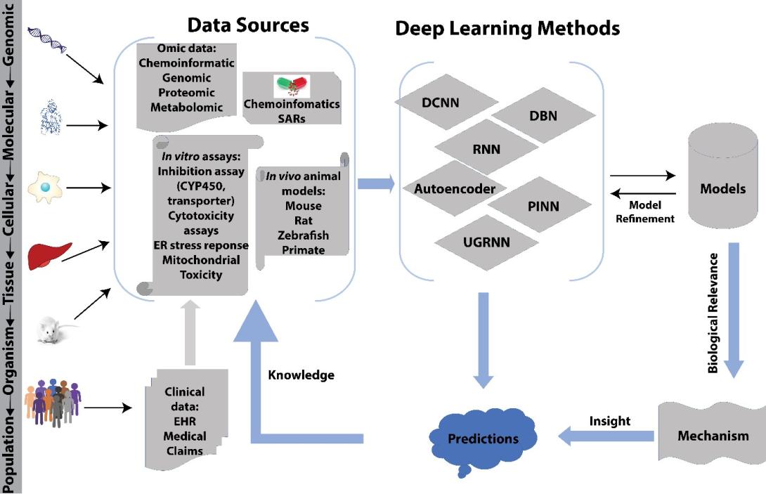 Computational/experimental paradigm for drug discovery