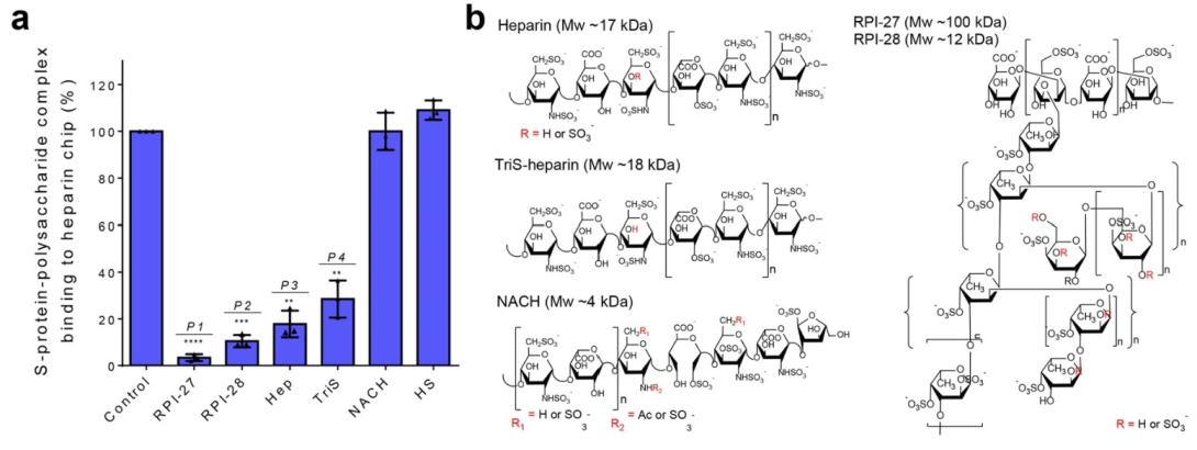 SARS-CoV-2 S-protein lab results