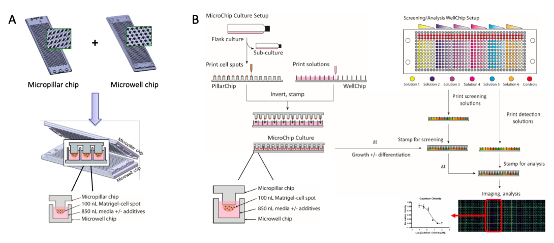 Illustration of the microarray chip system, which consists of complementary micropillar (PillarChip) and microwell (WellChip) formats.