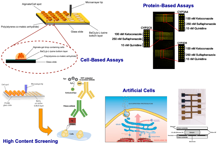Illustration depicting New high-throughput tools being developed. Upper left shows the DataChip (Data Analysis Toxicology Assay Chip) for high throughput 3D cell culture screens.