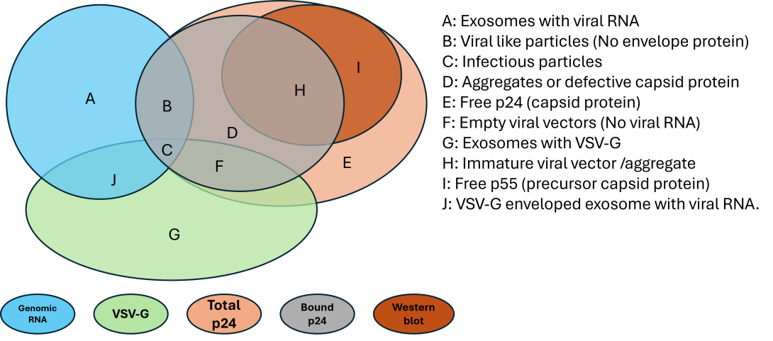 Viral Vector Sub-populations